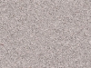 Silestone Steel