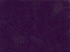 Compac Lila