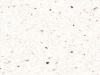 Silestone Mont Blanc