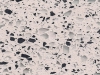Silestone White Platinum