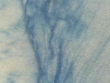 azul-macaubas
